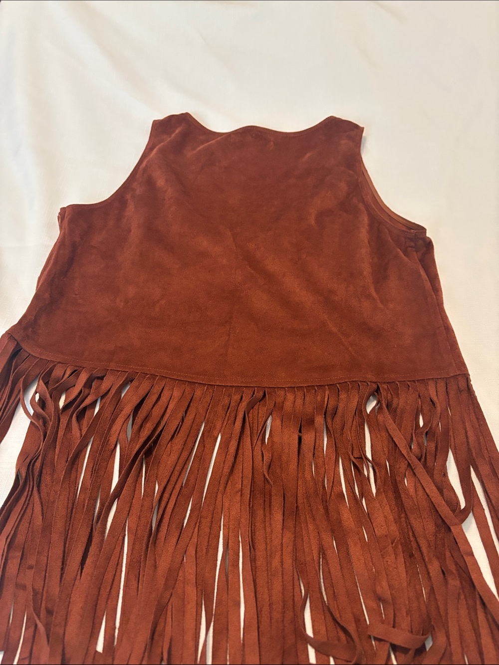 Rock & Roll Cowgirl Rust Brown Studded Fringe Faux Micro Suede Tank SZ L Western - Picture 10 of 13